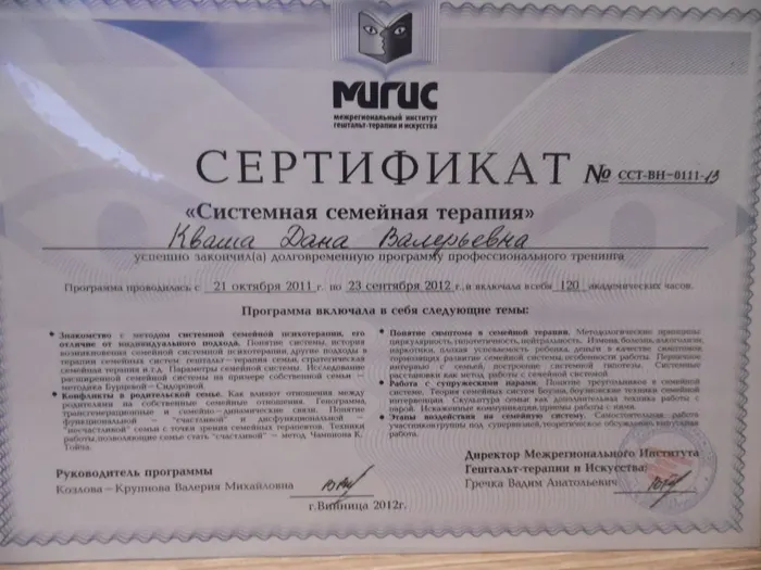 Сертифікат із системної сімейної терапії